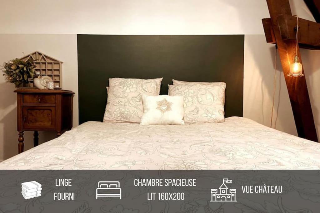 Grand Appartement Place Saint-Pierre, Proche Chateau De Saumur Et Bord De Loire" Εξωτερικό φωτογραφία