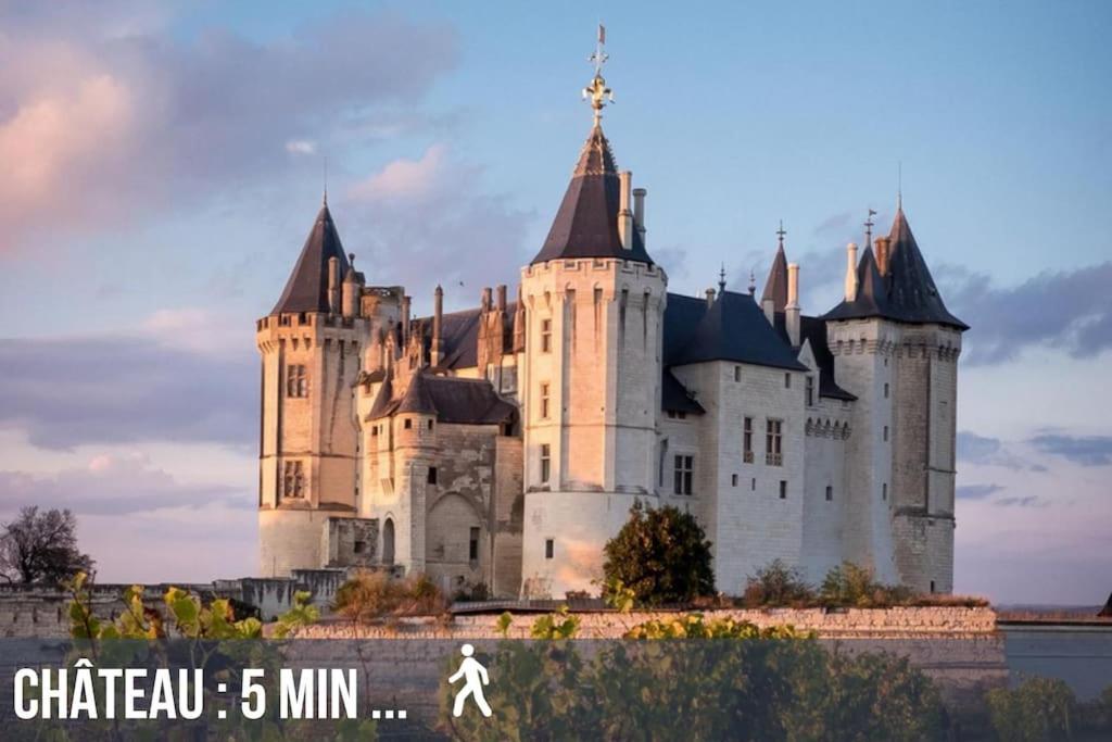 Grand Appartement Place Saint-Pierre, Proche Chateau De Saumur Et Bord De Loire" Εξωτερικό φωτογραφία