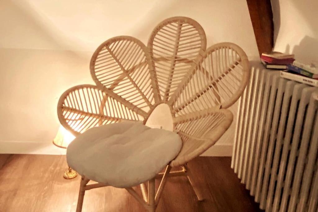 Grand Appartement Place Saint-Pierre, Proche Chateau De Saumur Et Bord De Loire" Εξωτερικό φωτογραφία